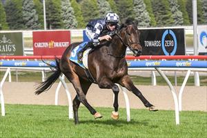 BURLEIGH DOMINATION CONTINUES STABLE'S HOT FORM